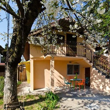 Cherry Tree Art House Belgrade Luaran gambar