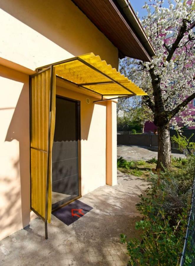 Cherry Tree Art House Belgrade Luaran gambar
